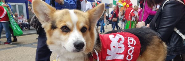 CorgiYes Profile Banner