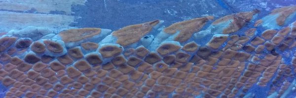 ALopezArbarello Profile Banner