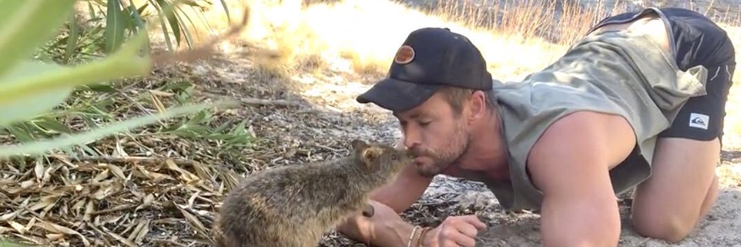 slightlyforeign's profile banner image