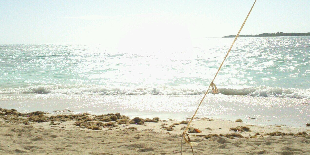 annmdl's profile banner image