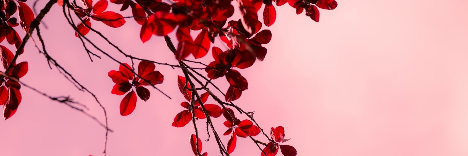 duska88's profile banner image