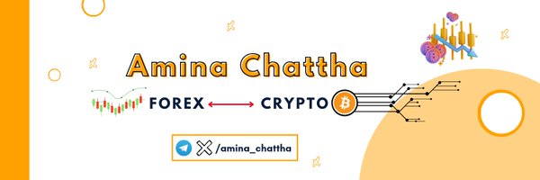 Amina chattha Profile Banner