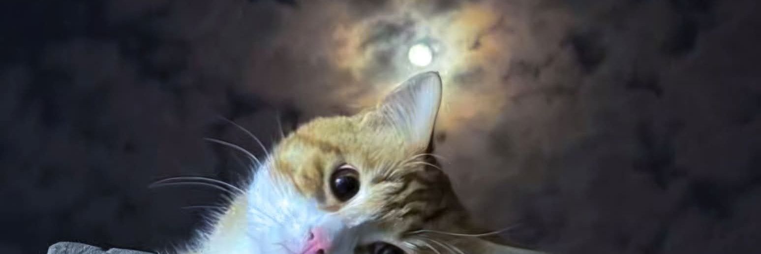 🛸🗝️®️𖤓 banner