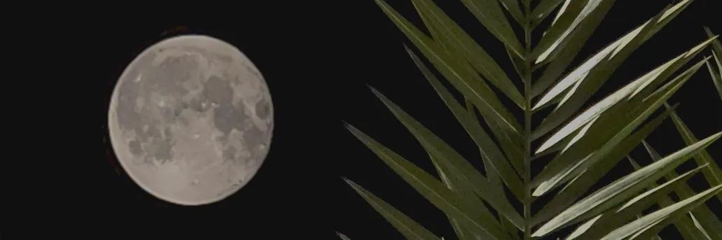 _KarBer's profile banner image