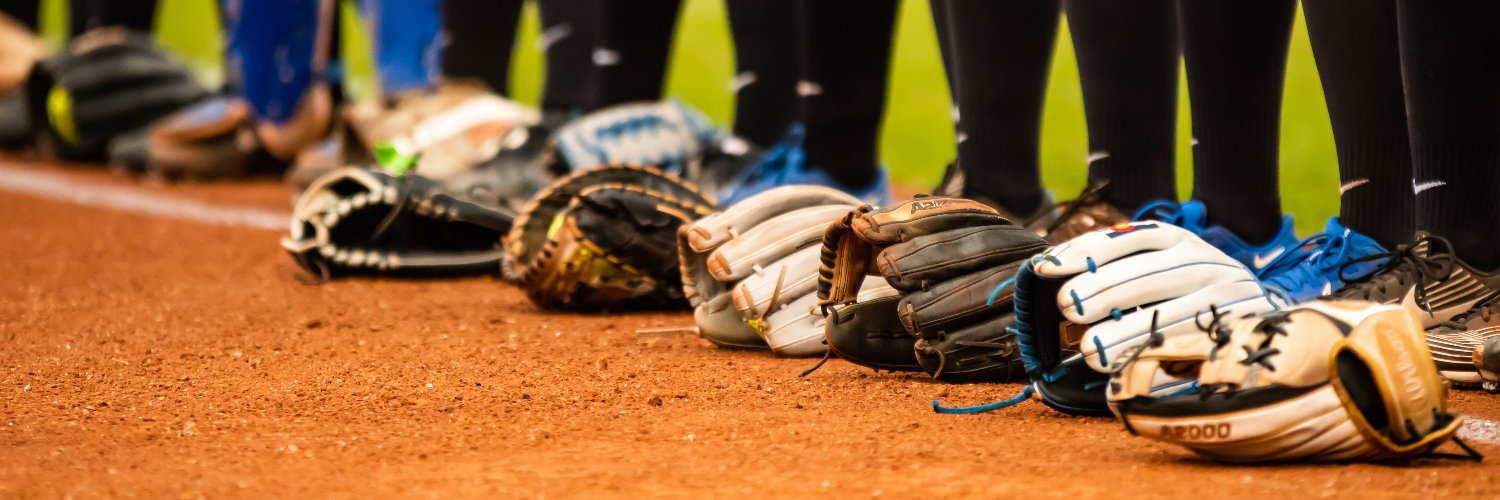 Memphis Softball's banner