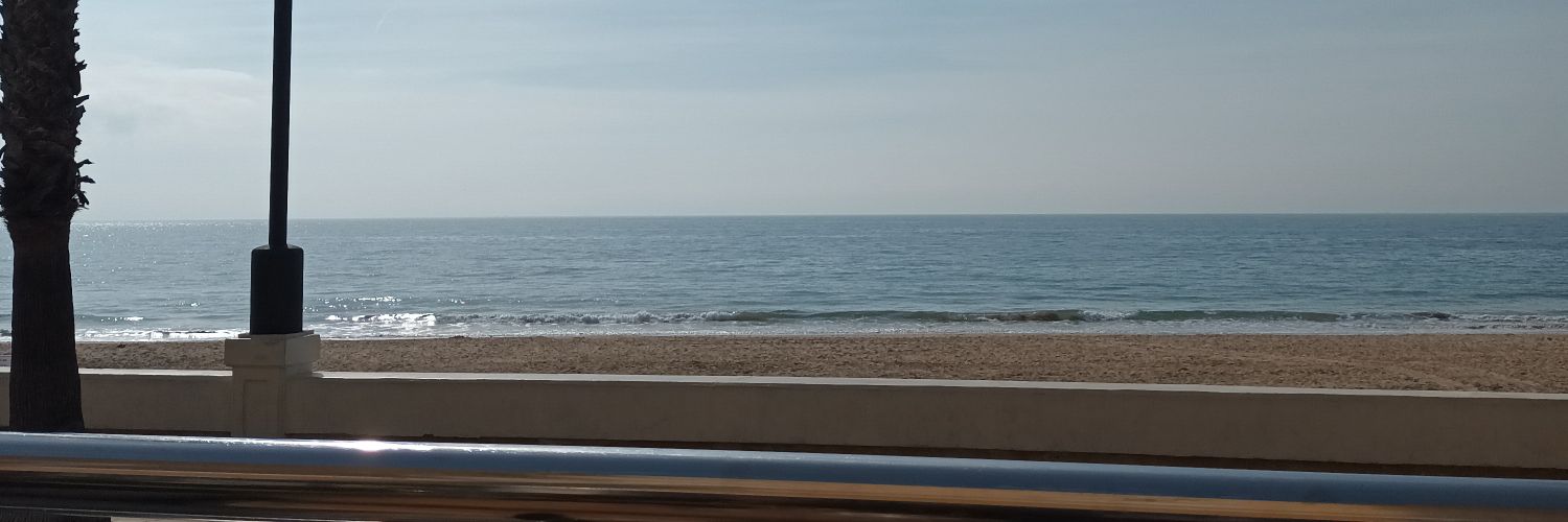 Yomermaids's profile banner image