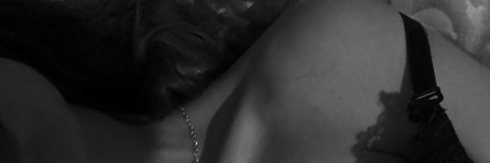 crazylife.en.16 banner