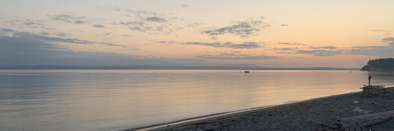 Brian Bhaskar banner