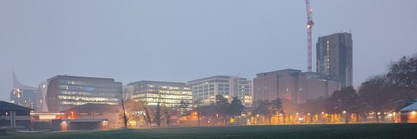 RDGLabourCllrs Profile Banner