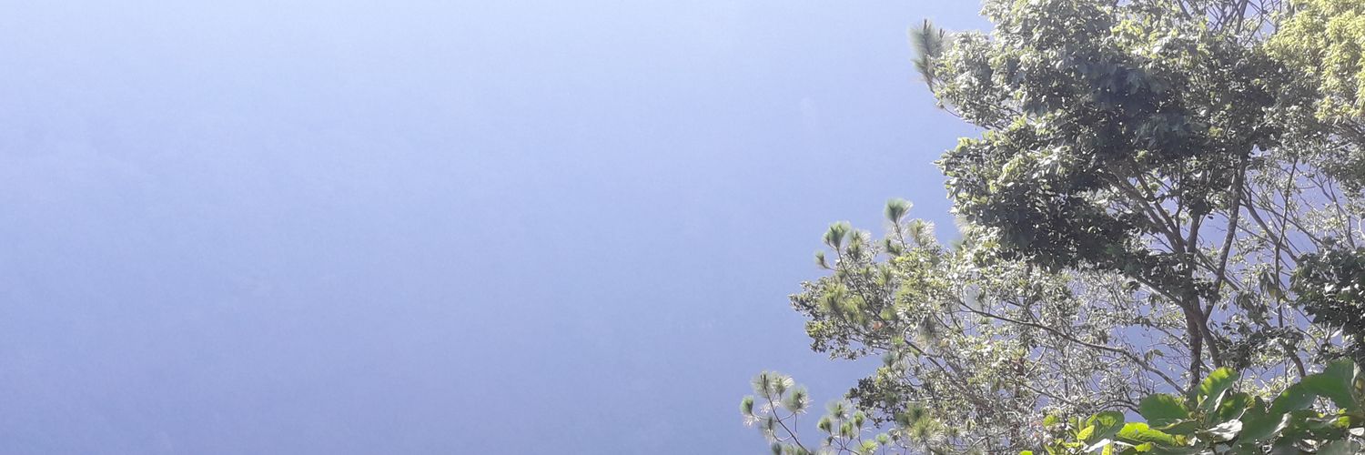 Elizza_ZS's profile banner image