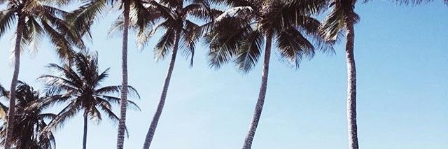 otrogabomas's profile banner image