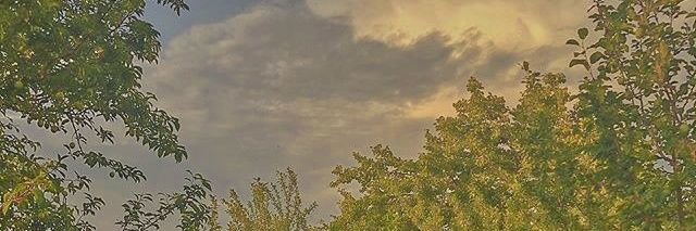 whiteblackswans's profile banner image