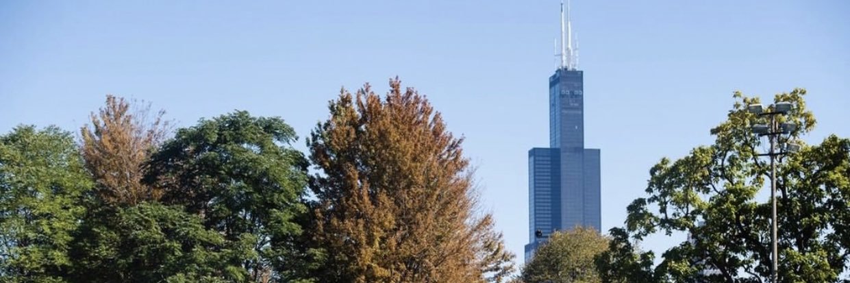 Sun-Times Opinion banner