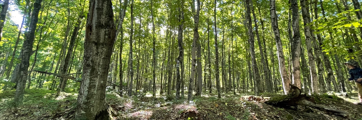 Kathy Grayson banner