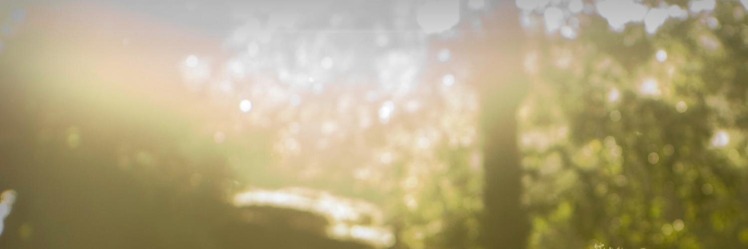 twitjournalist's profile banner image