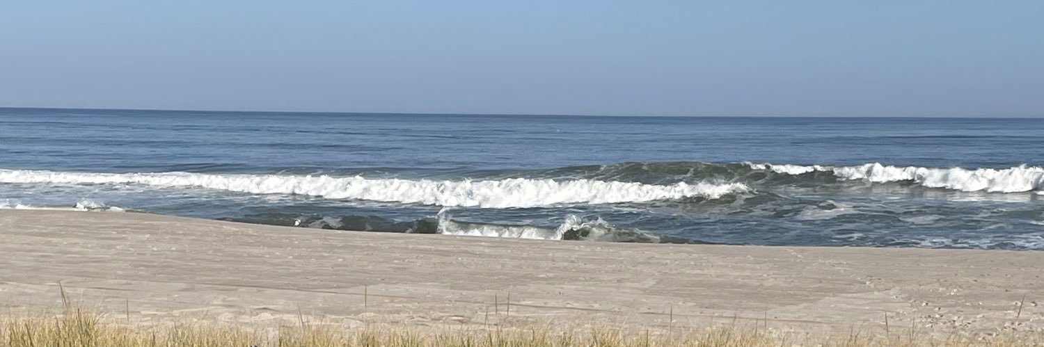 Mary Reilley Clark banner