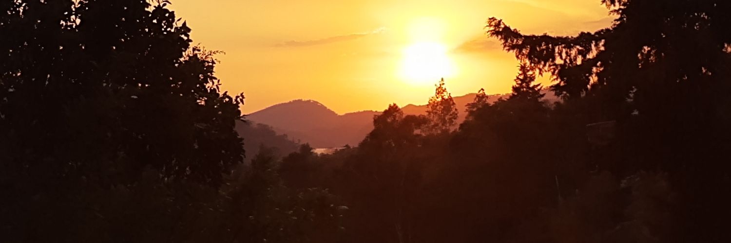 FlorJulieta5's profile banner image