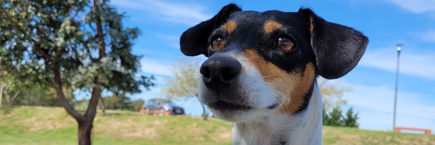 CaaaamiP's profile banner image