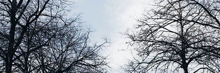 JacquetAdrian's profile banner image