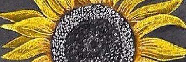 Mccallgoehner's profile banner image