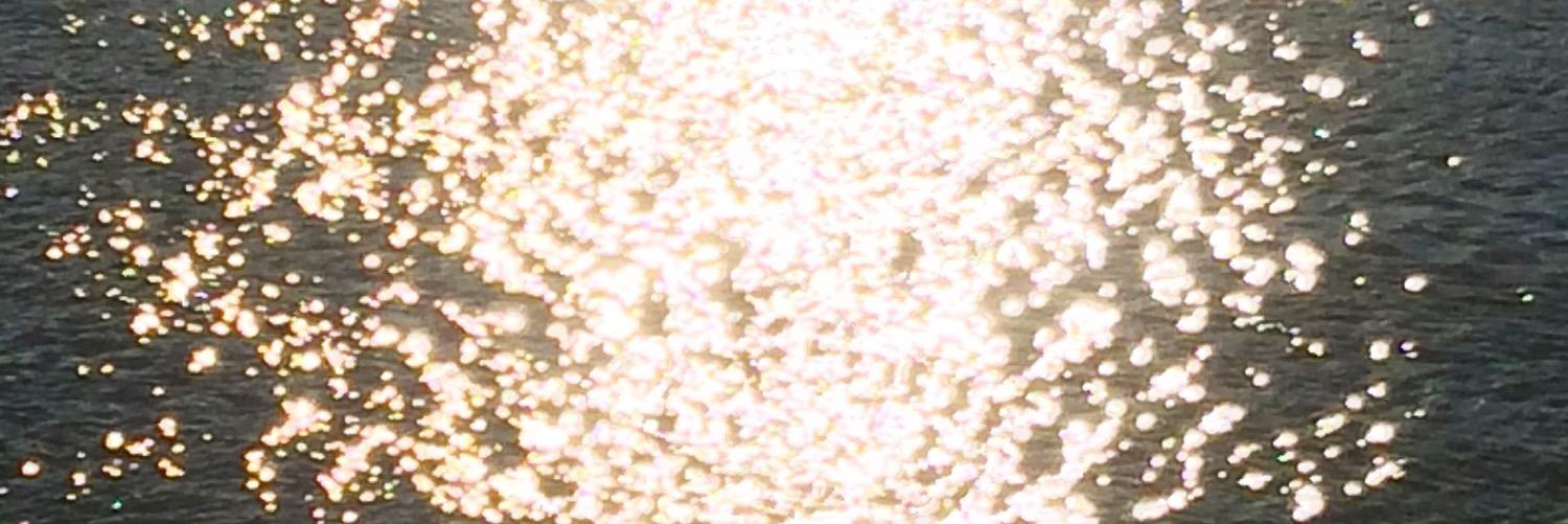 alandatofte's profile banner image