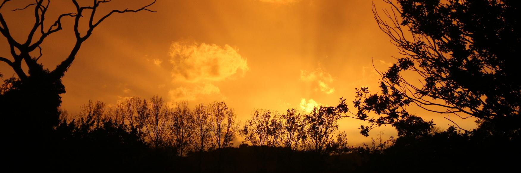 stuart little the mouse. banner