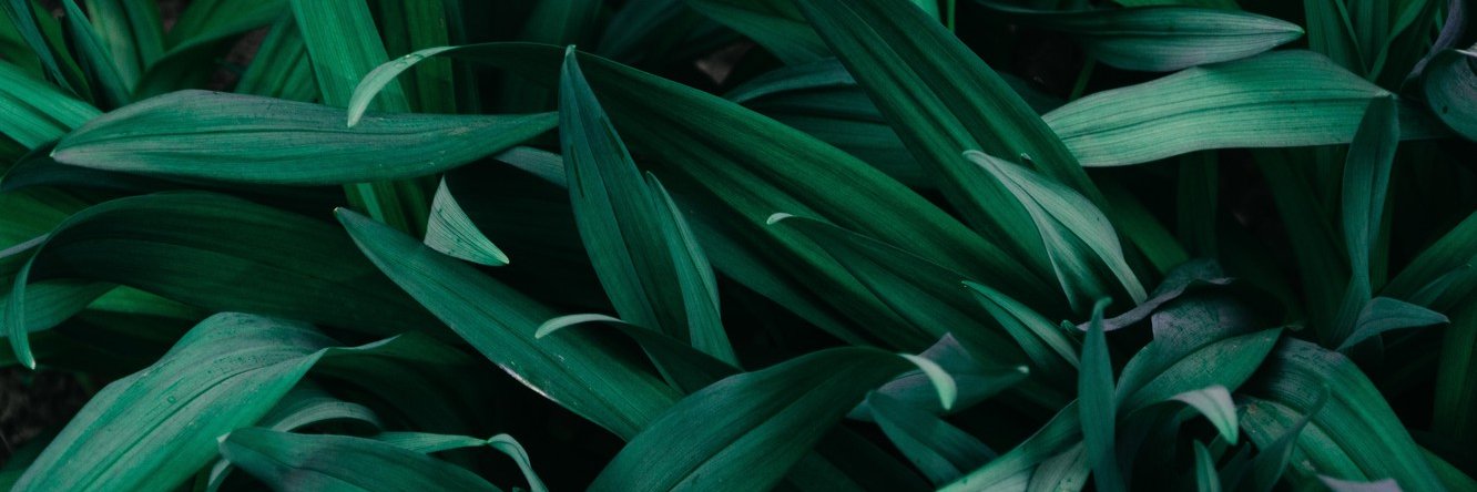 elgerigada's profile banner image
