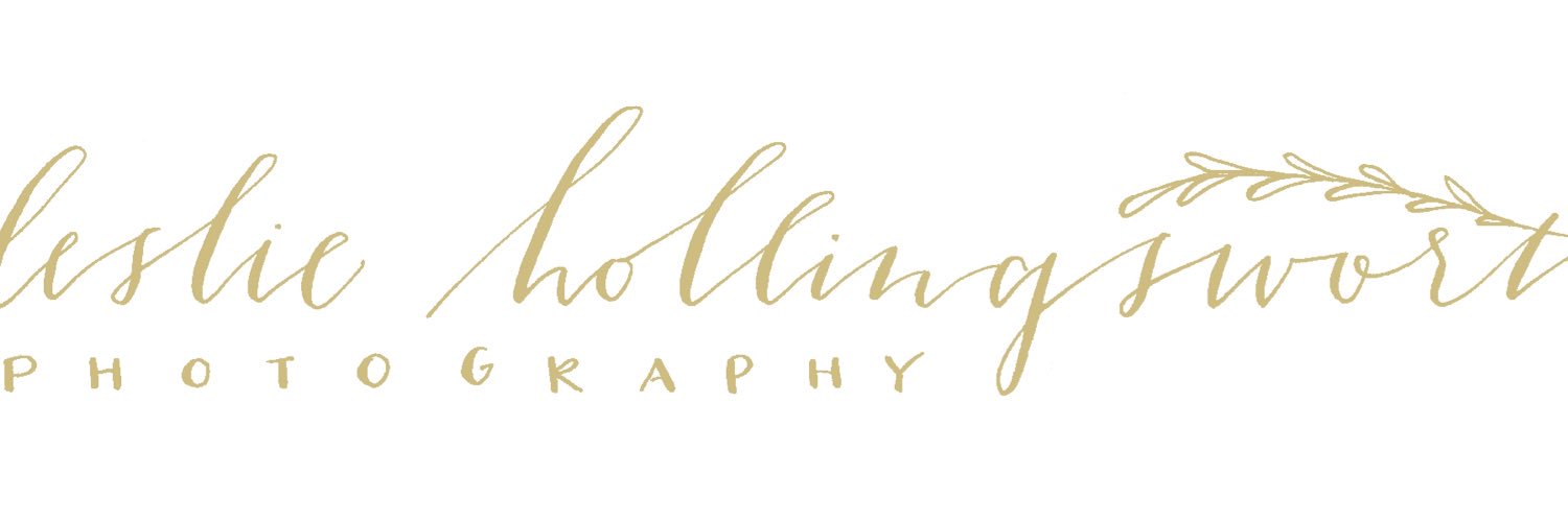 Leslie Hollingsworth banner