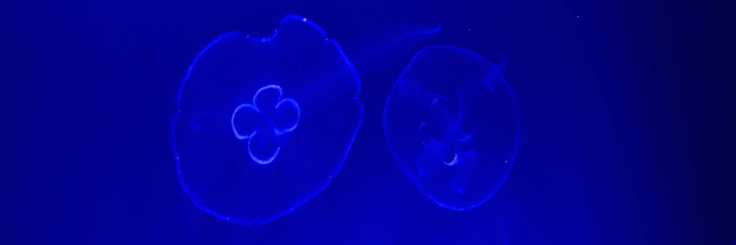 NSFW GarbzLarbz banner