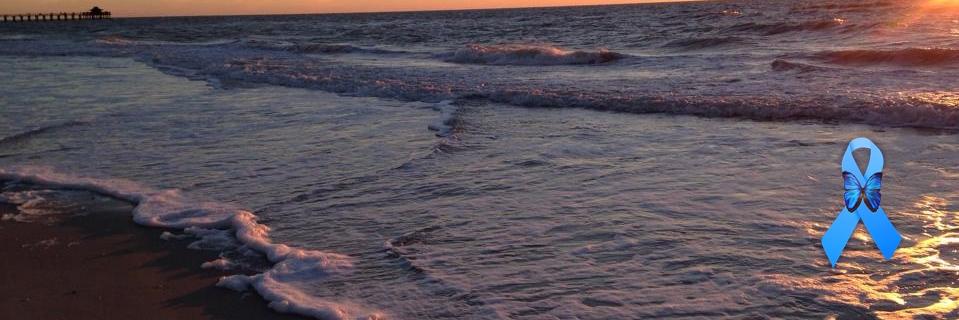 lisalwhittaker's profile banner image