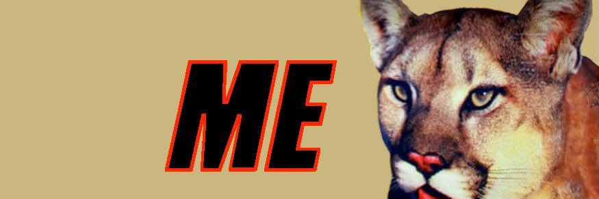 billwrusca's profile banner image
