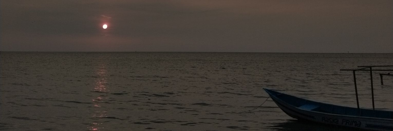 oikaphile's profile banner image