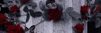 — 𝘋𝘰𝘳𝘰𝘵𝘩𝘦𝘢 🎵🌹 banner