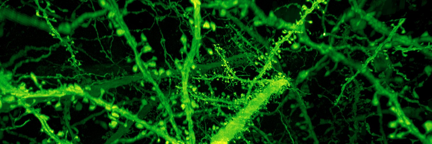 Advanced Bioimaging Center @ UC Berkeley's banner