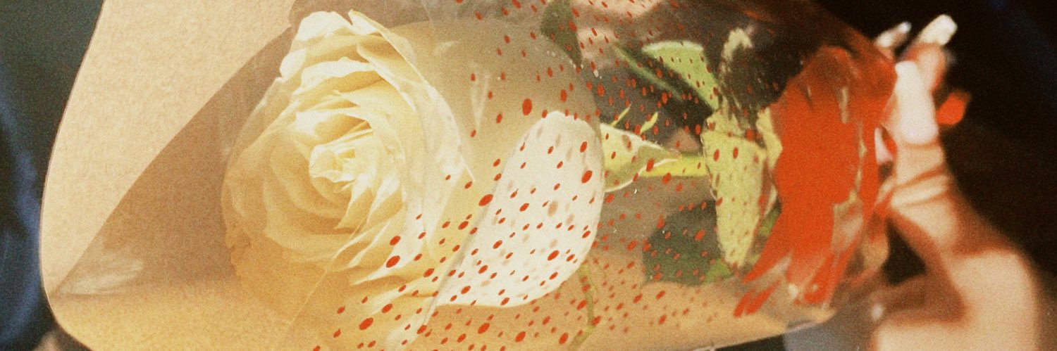 _camillyys's profile banner image