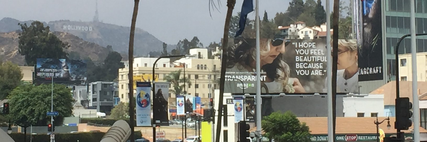 José Pinheiro banner