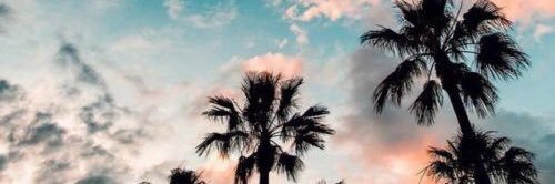 sthefanystfa's profile banner image