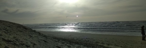 MLennartz1 Profile Banner