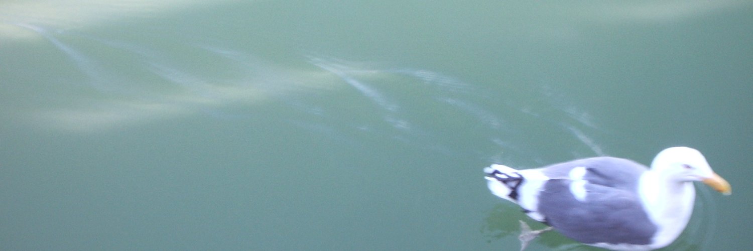 PeteRichey's profile banner image