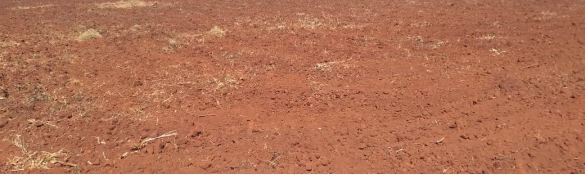 K.T. Chifamba banner