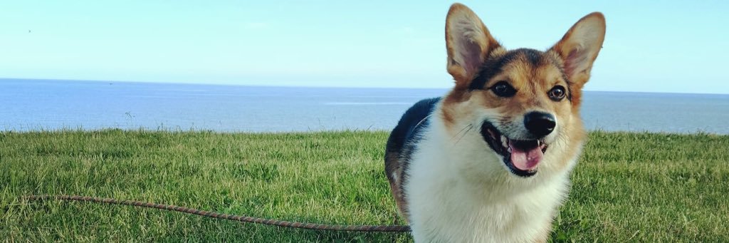 RachKPhillips's profile banner image