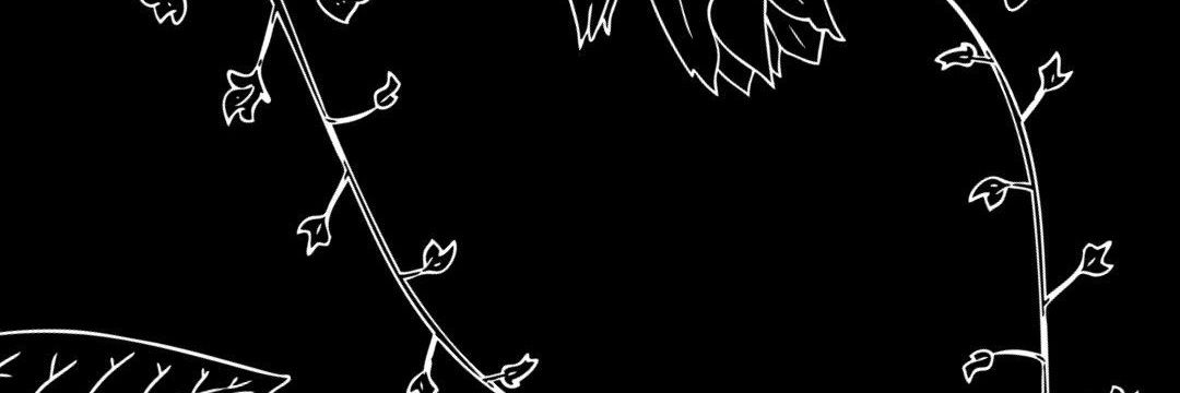 alecar210's profile banner image