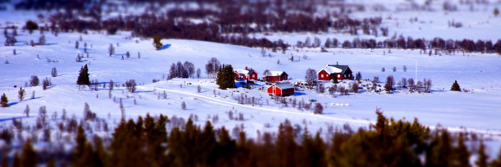 Taka🇳🇴ノルウェー移住者 banner