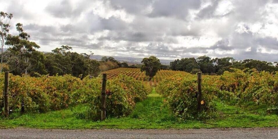 Brecon Estate banner