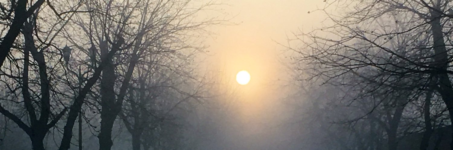 Maru Villarreal banner