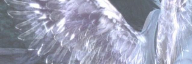 brandux's profile banner image