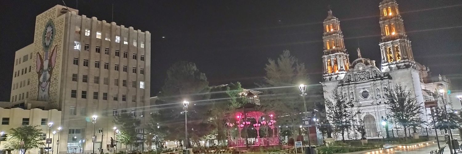 perritatorres's profile banner image
