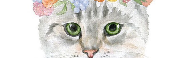 camilonconsilva's profile banner image