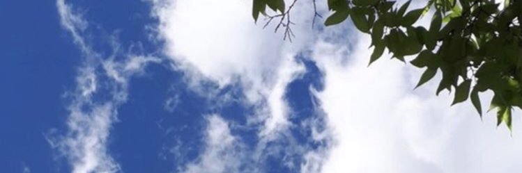 Emellozkn's profile banner image