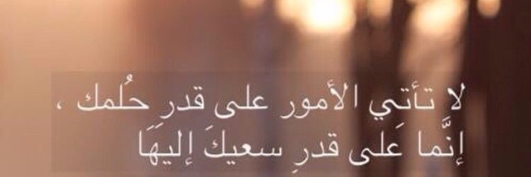 44Asayl's profile banner image